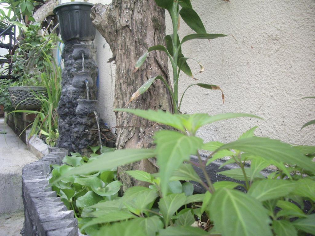 Gusti Homestay Kerobokan Εξωτερικό φωτογραφία